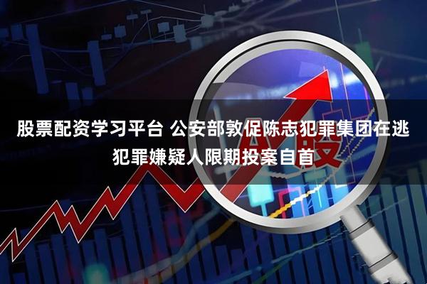 股票配资学习平台 公安部敦促陈志犯罪集团在逃犯罪嫌疑人限期投案自首
