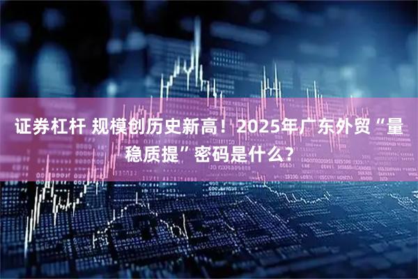 证券杠杆 规模创历史新高！2025年广东外贸“量稳质提”密码是什么？