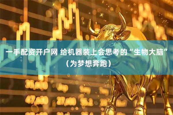 一手配资开户网 给机器装上会思考的“生物大脑”（为梦想奔跑）